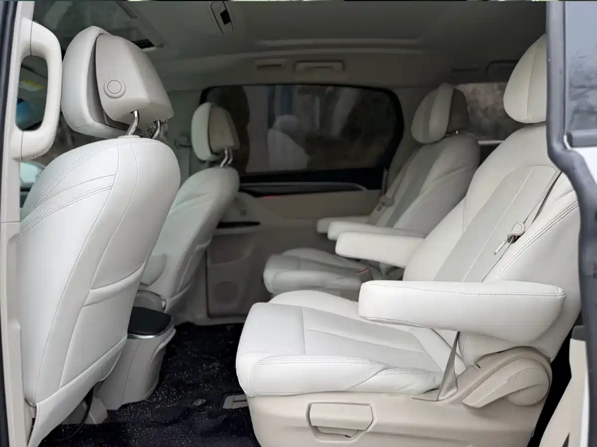 Buick GL8 2023 ES Landmaster Comfort фото 6