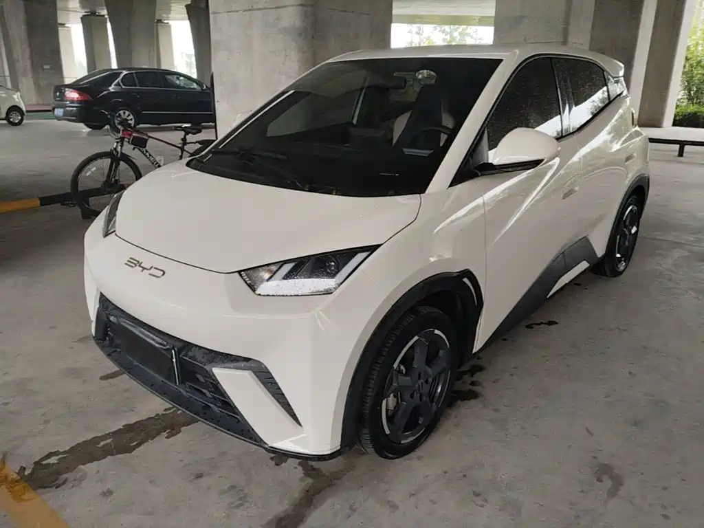 BYD Seagull 2024