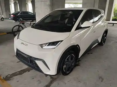 BYD Seagull