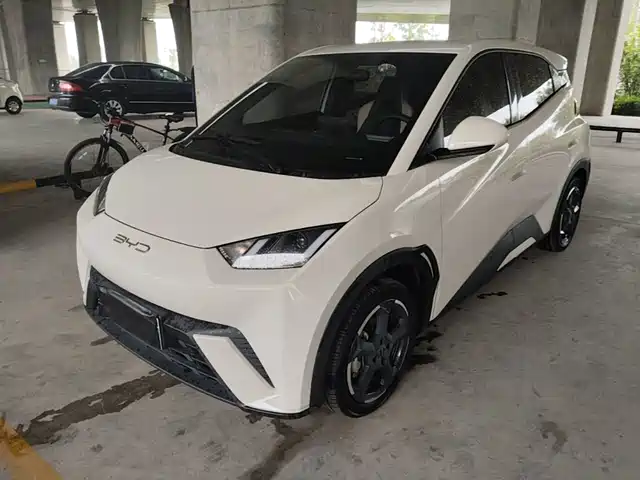 BYD Seagull Слава, 305km, Свобода