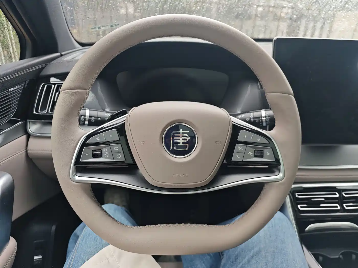 BYD Tang New Energy 2025 Smart Driving Edition DM-i 115KM Flagship фото 20