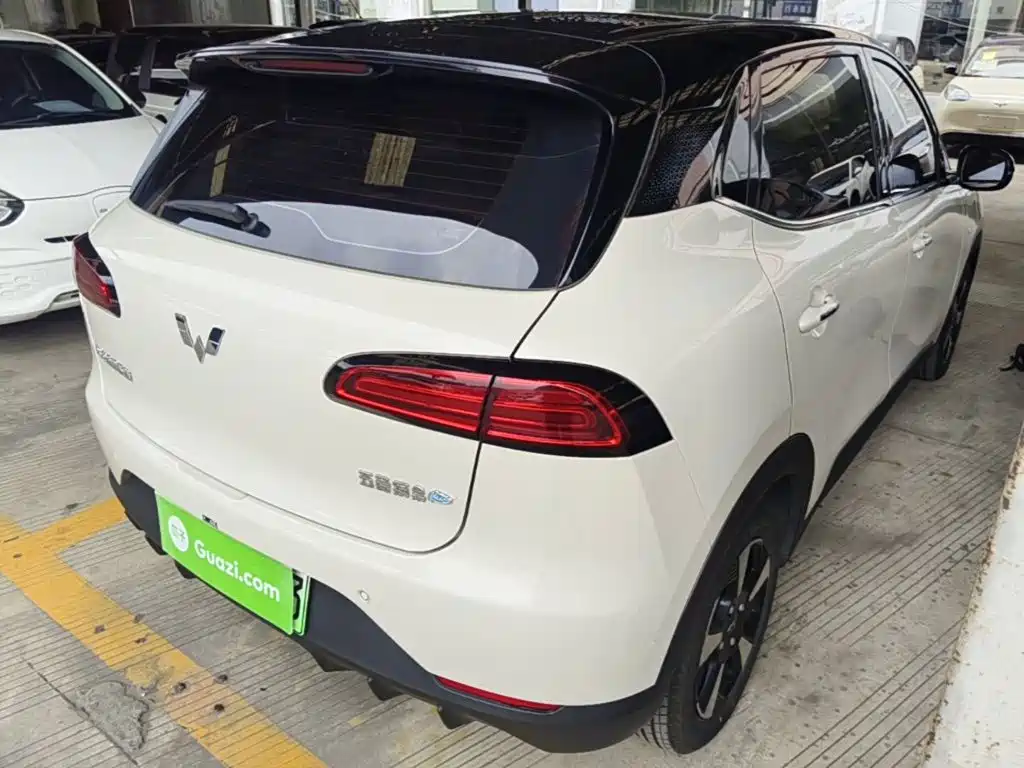 Wuling Motors Wuling Binguo PLUS 2025 2024 510km Range 5-seater