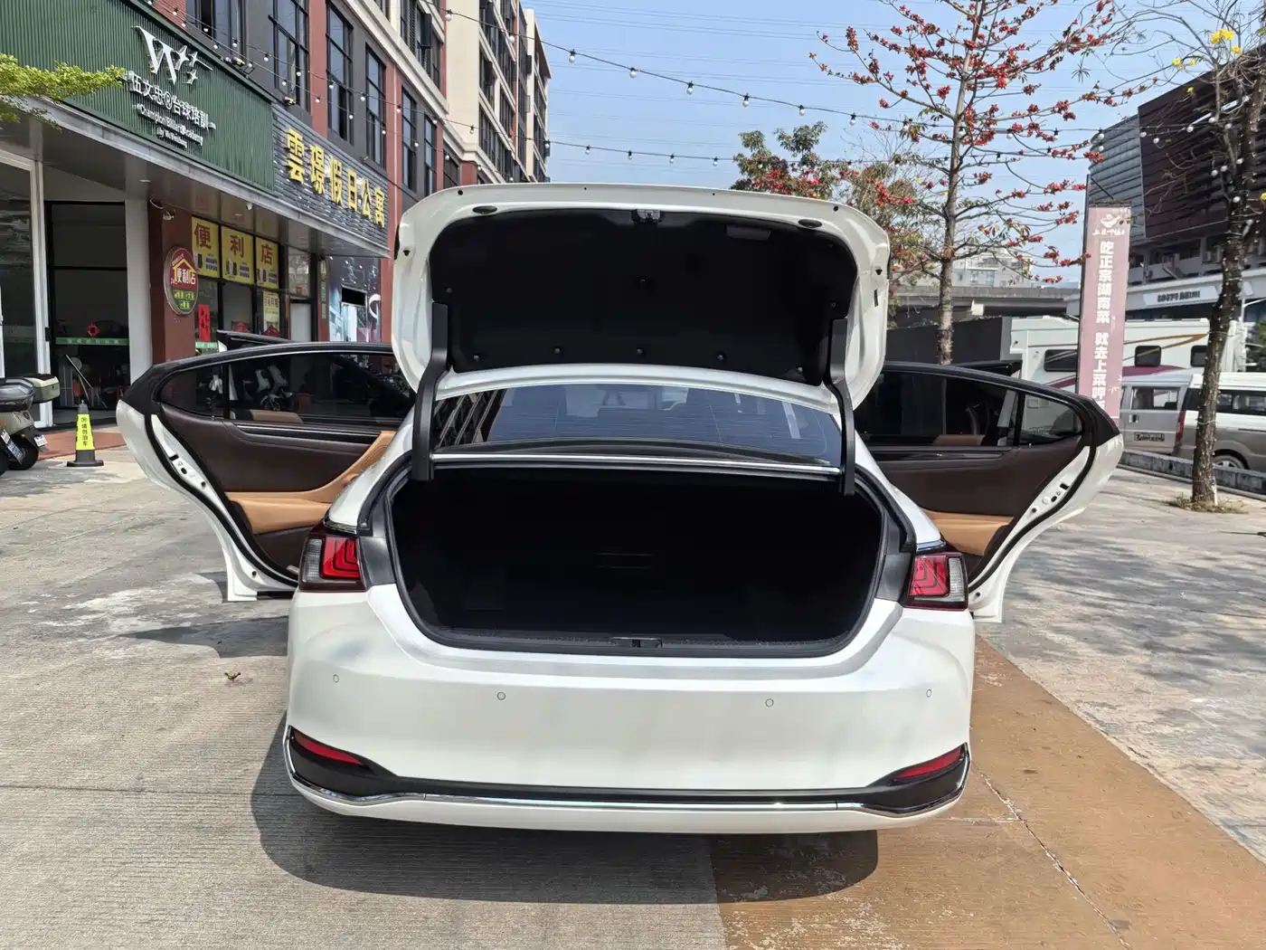 Lexus ES 2020 Model 300h Excellence Edition фото 17