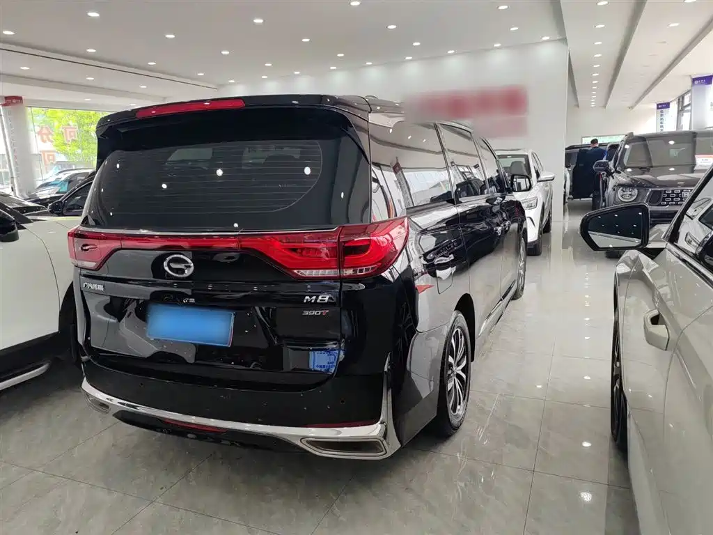 GAC Trumpchi Trumpchi M8 2024 Leadershow Series 390T Luxury Edition фото 8
