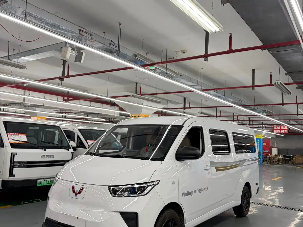 Фото 1 - Wuling Motors Wuling Yangguang