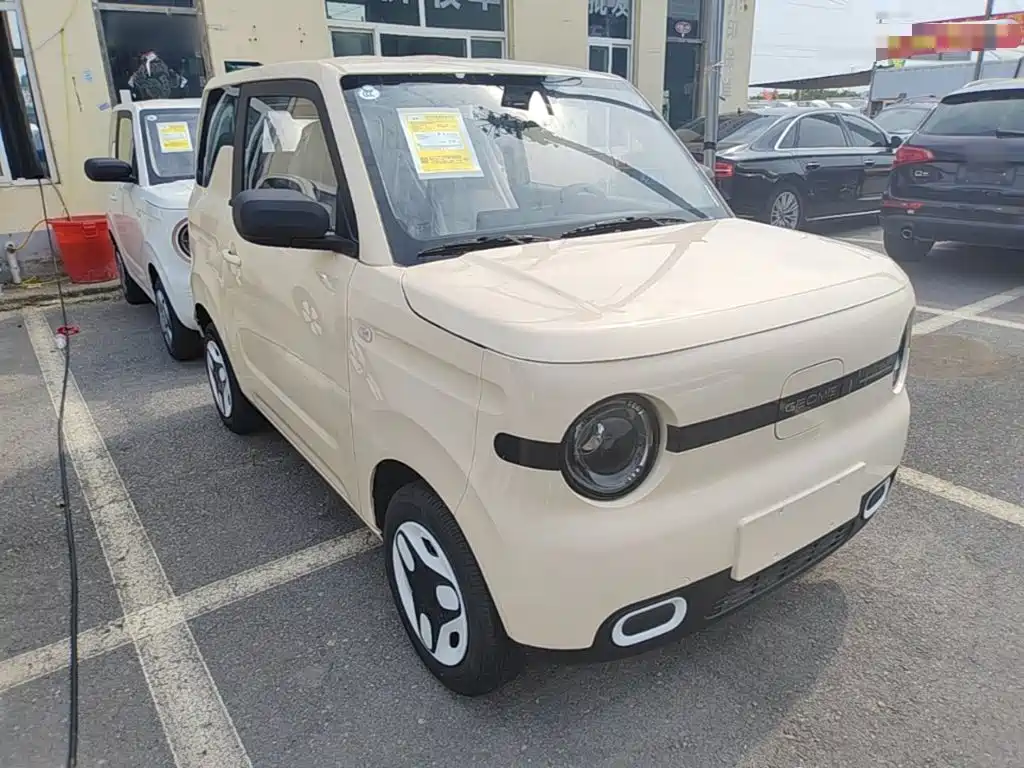 Geely Galaxy Panda 2026 2025 Panda mini 210km Vitality Bear
