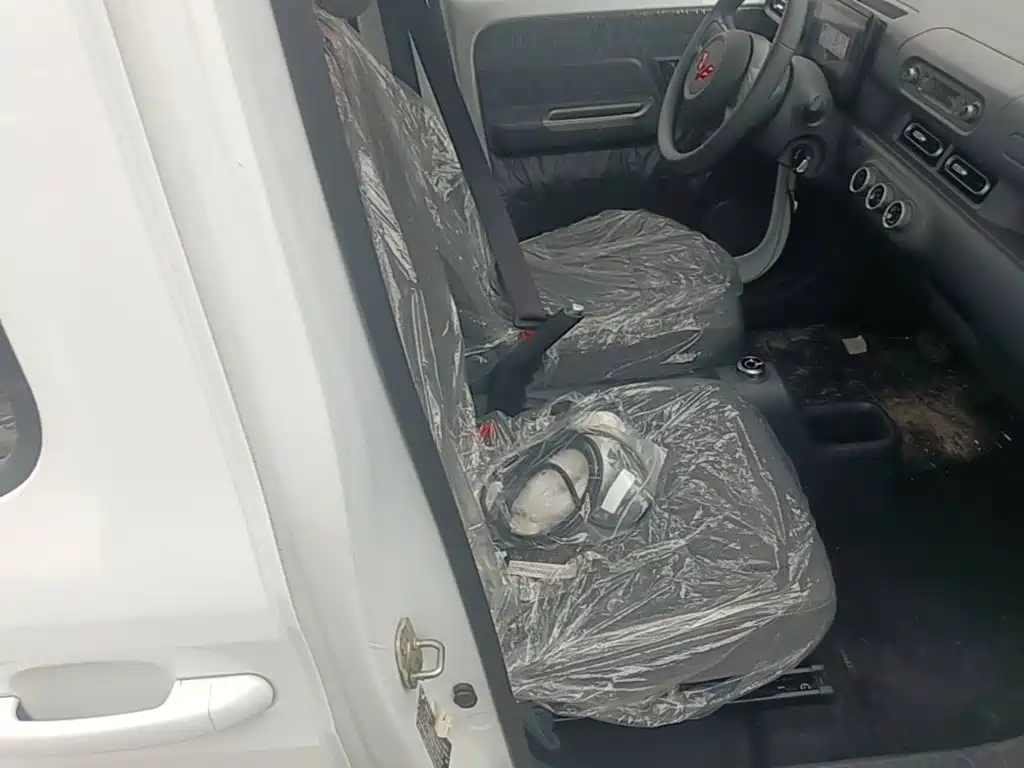 Wuling Motors Wuling Zhiguang NEV 2026 2025 Model Comfort