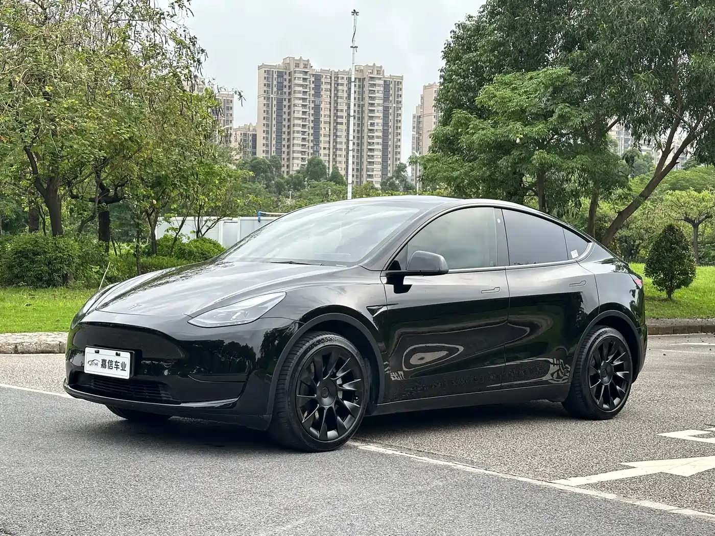 Tesla Model Y 2022 Rear-Wheel Drive Version