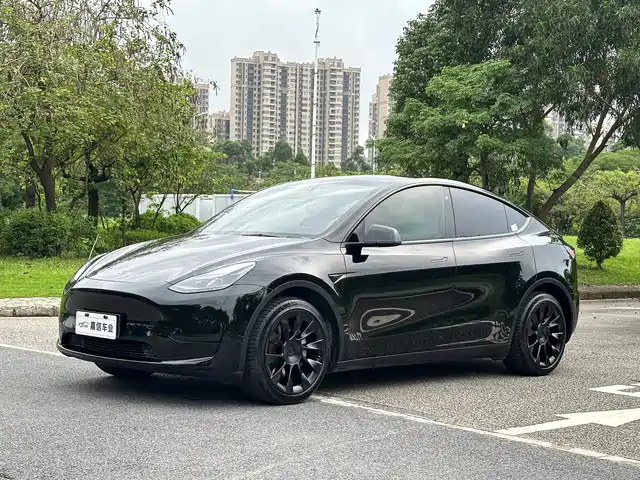 Tesla Model Y Задний привод