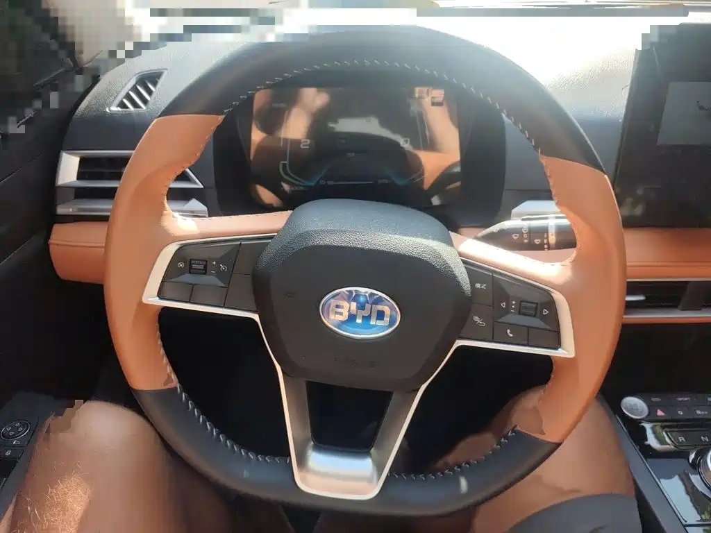 BYD e2 2022 2021 Luxury Edition