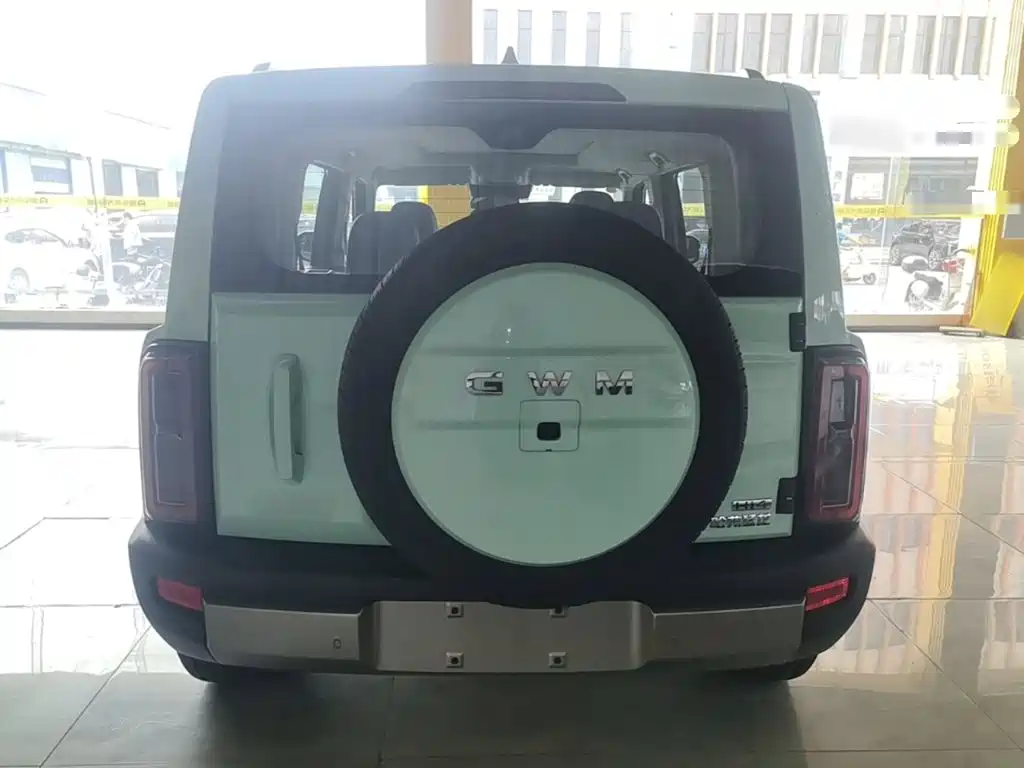 Haval Meng Long NEV 2025 2025 Model Base Version