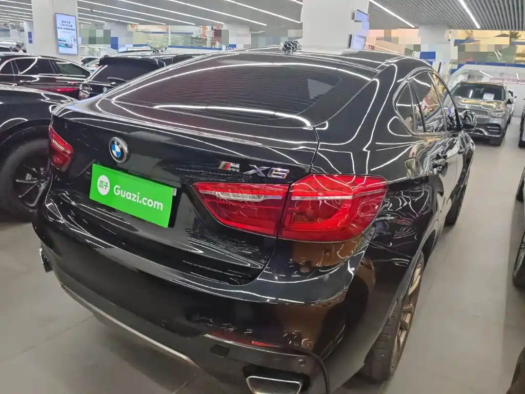صورة 21 - BMW X6