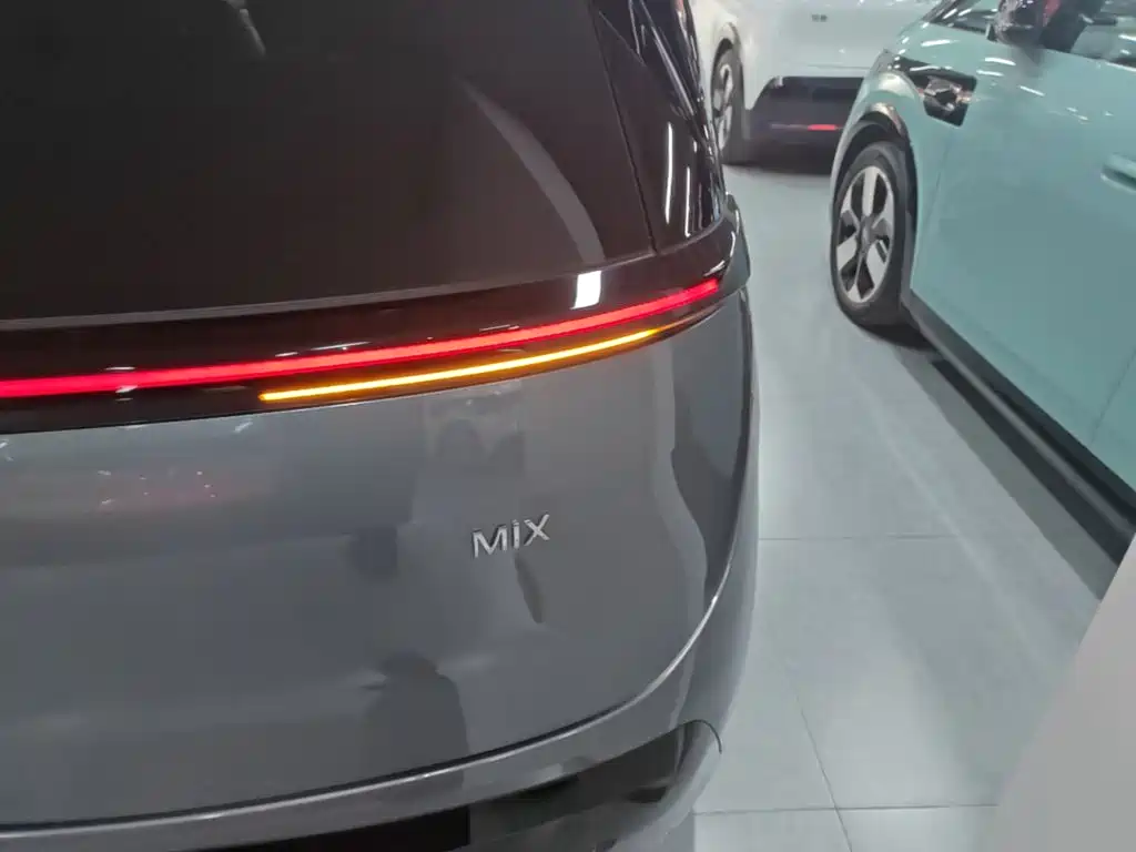 ZEEKR MIX 2026 2025 Smart Driving Edition