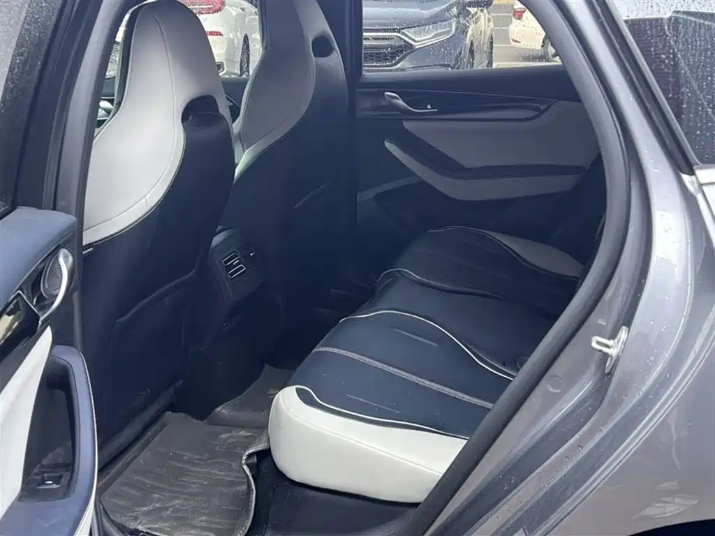 BYD Qin PLUS 2021 DM-i 120KM Premium фото 10