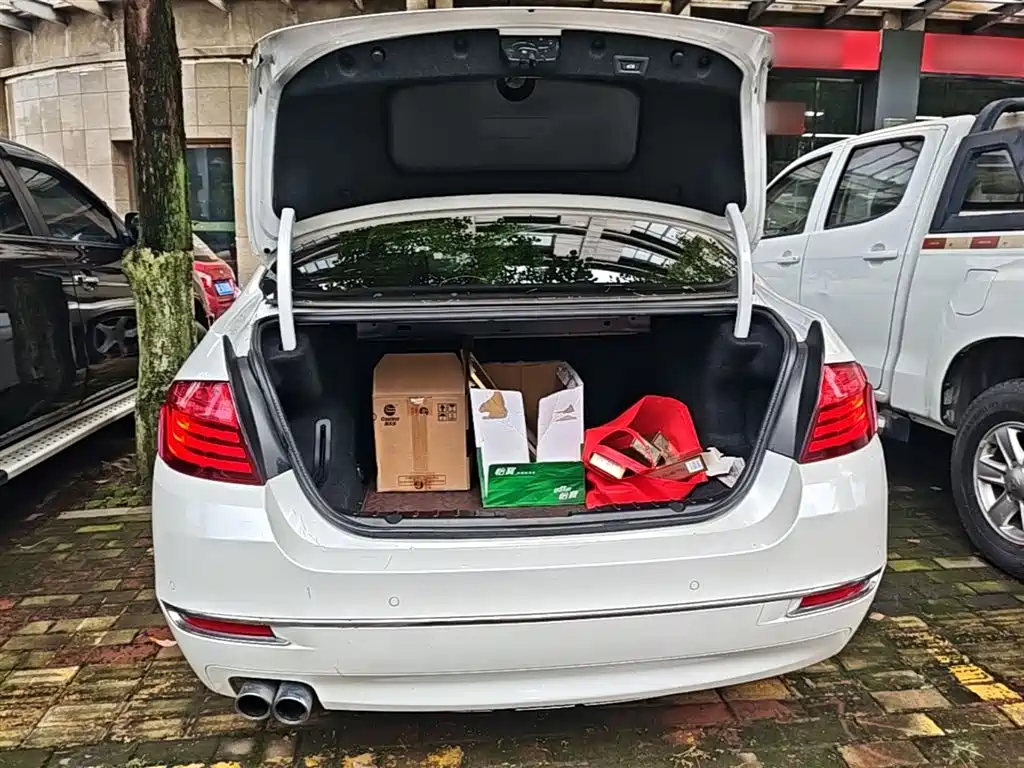 BMW 5 Series 2017 525Li Luxury Design Package фото 19