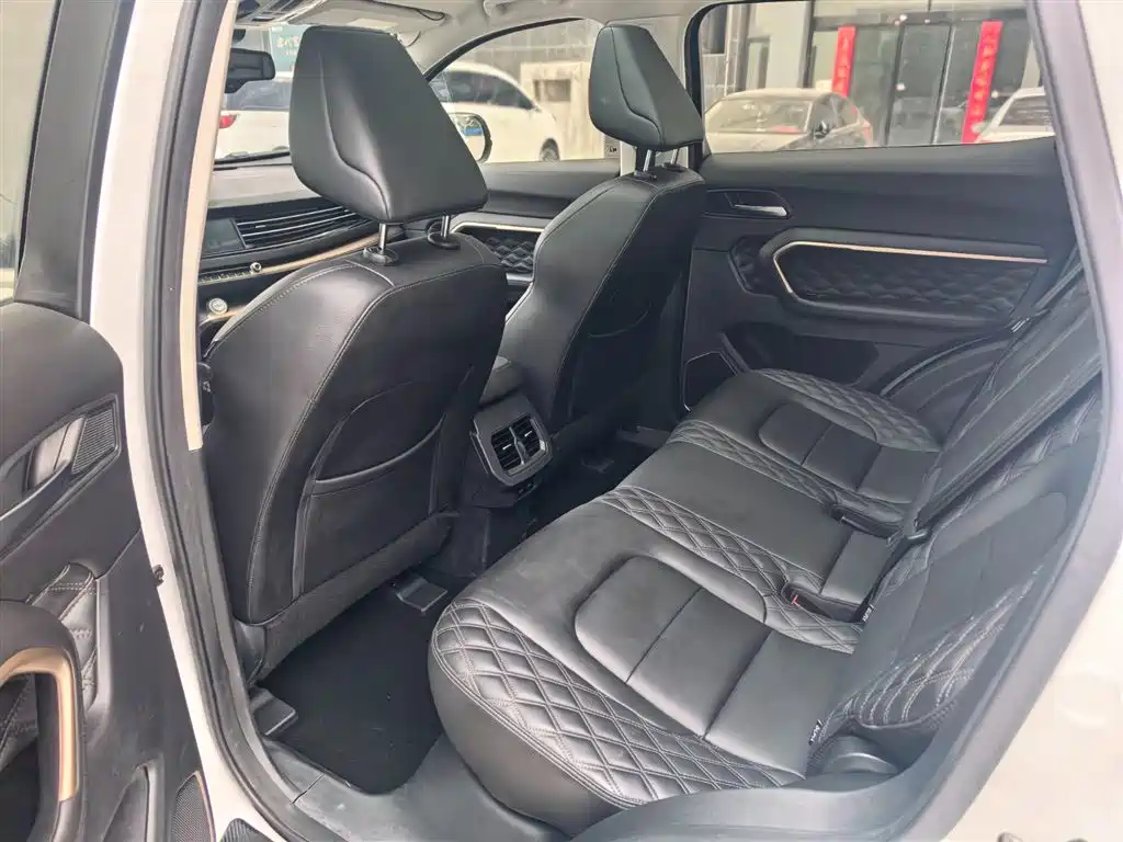 Haval H6 2020 1.5GDIT Automatic Platinum Champion Edition фото 8