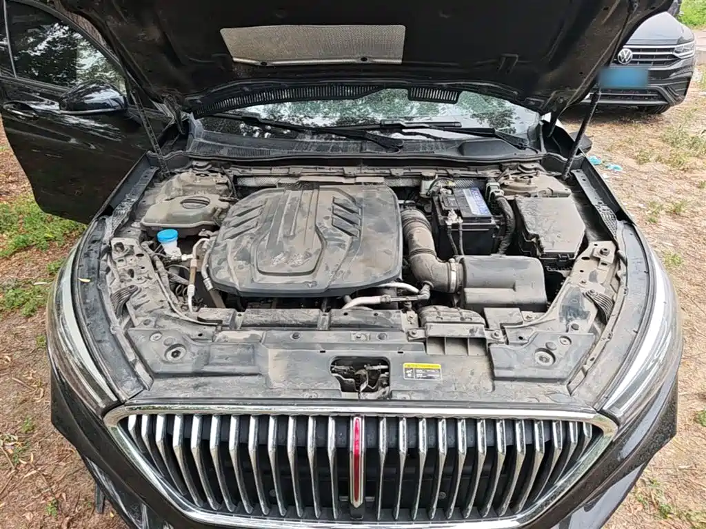 Hongqi H5 2022 Classic Facelift 1.5T DCT Flag Rhythm Edition фото 20