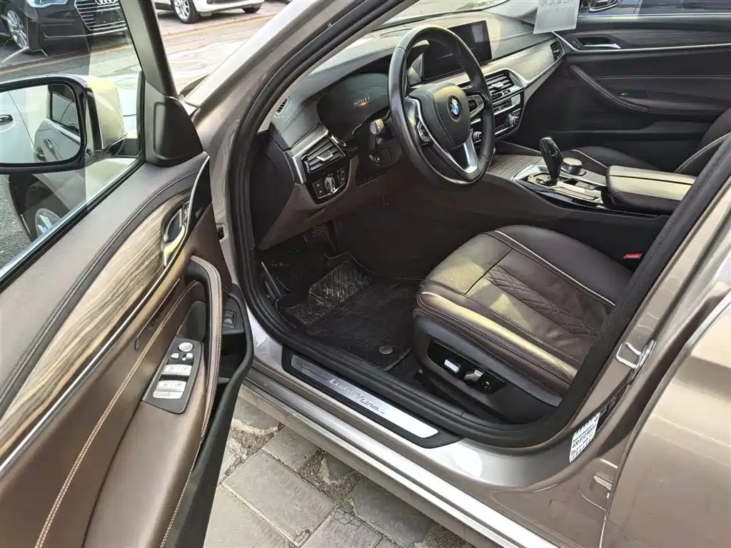 BMW 5 Series 2019 530Li Leading Luxury Package фото 11
