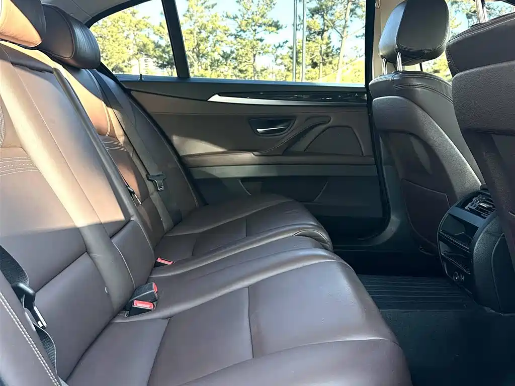 BMW 5 Series 2017 525Li Luxury Design Package фото 5