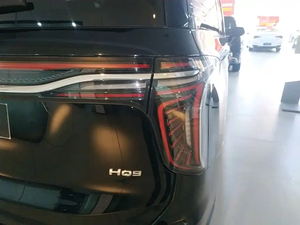 Hongqi HQ9 2023 2.0T Smart Connect Flag Enjoy Edition фото 24