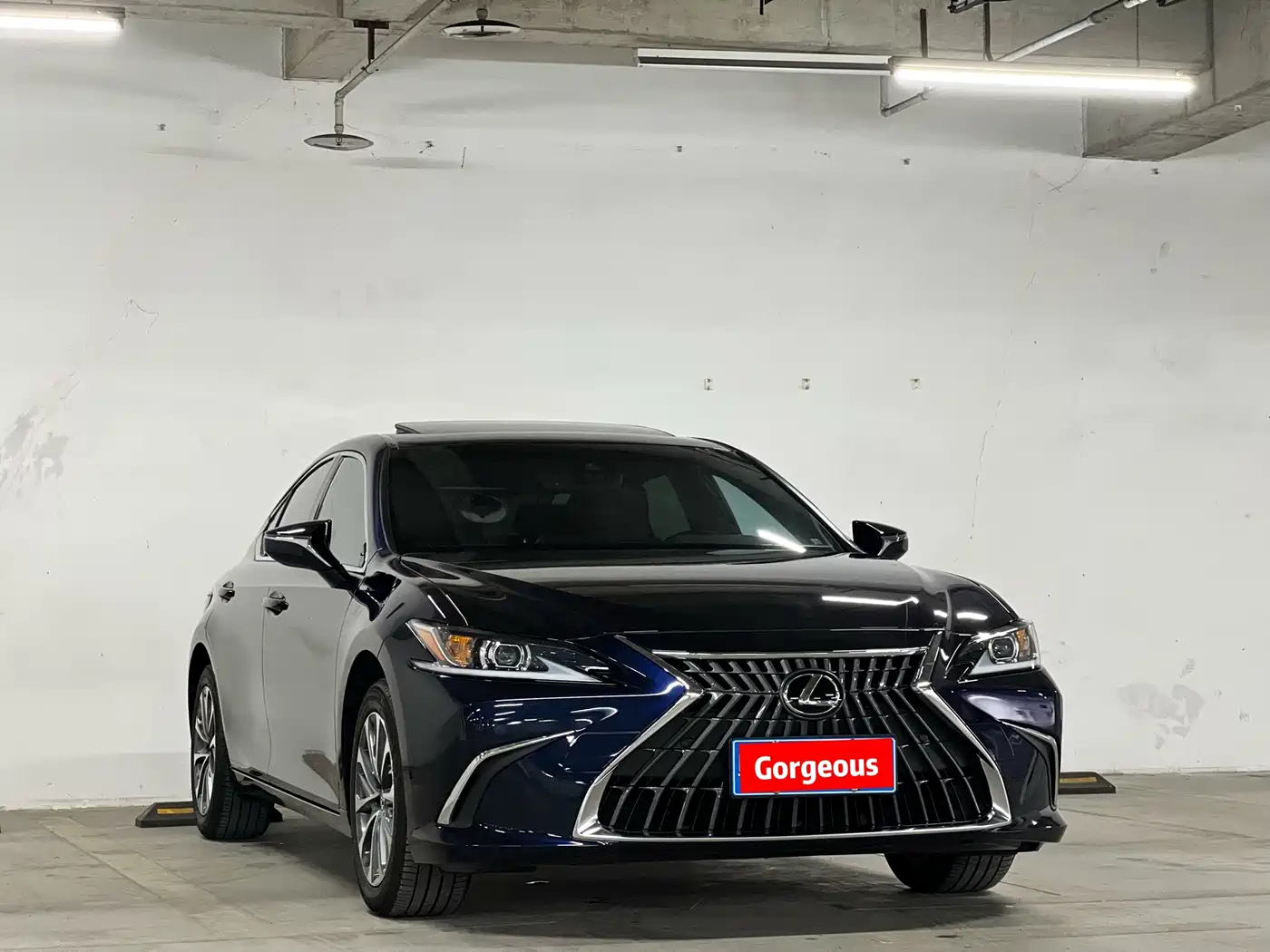 Lexus ES 2024 200 Premium Edition фото 3