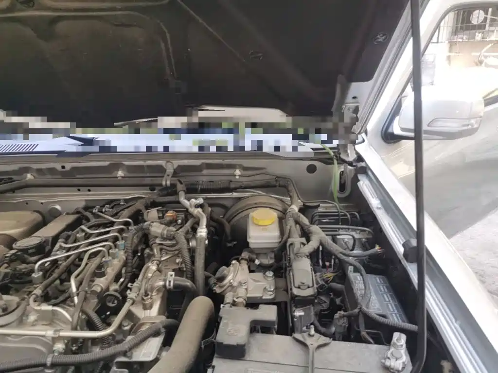 Dongfeng Ruiqi 2024 2023 2.4T Diesel 2WD Startup Long Cargo Box YCY24165-61