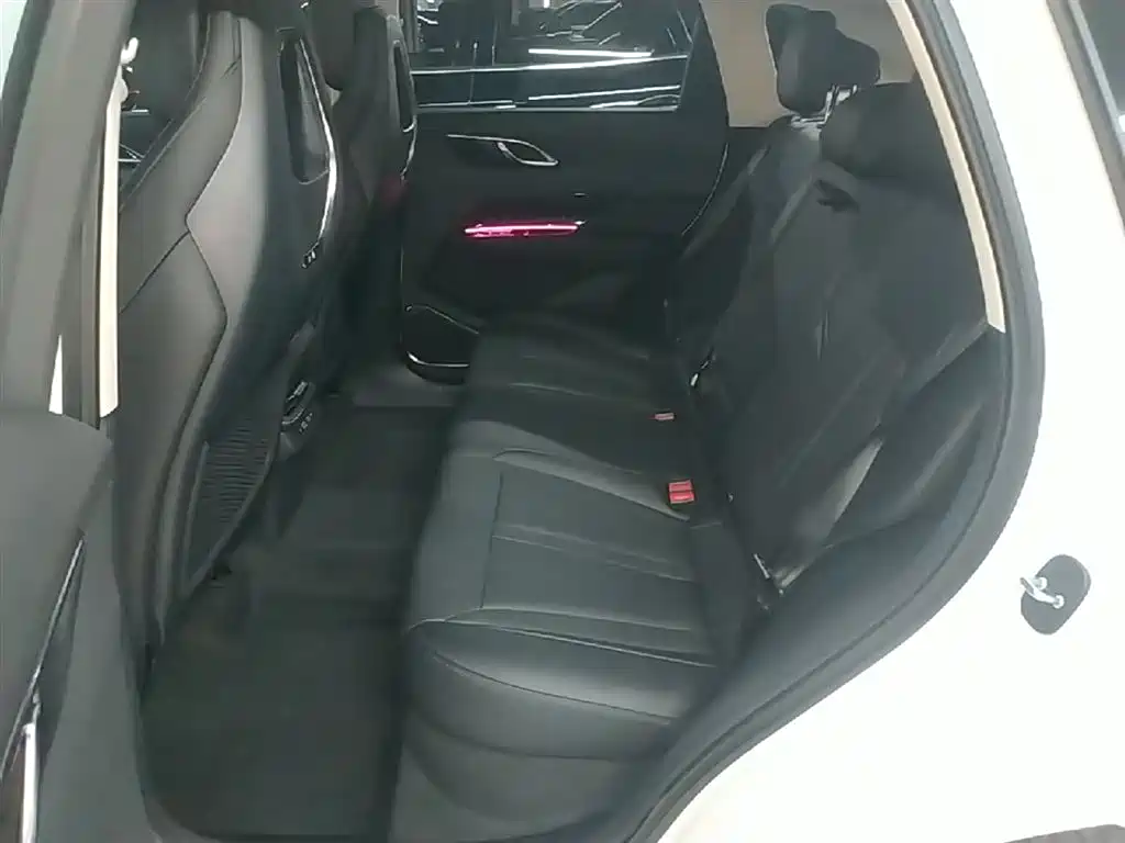 Hongqi HS3 PHEV 2024 PHEV 115km Power Edition фото 17