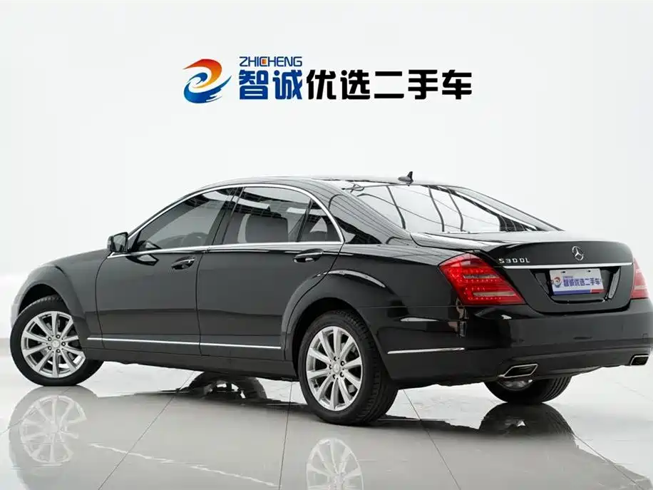 Mercedes-Benz S-Class 2010 S 300 L Luxury фото 6