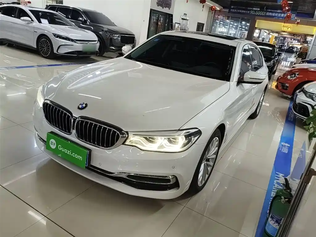 BMW 5 Series 2020 530Li Premium Luxury Package
