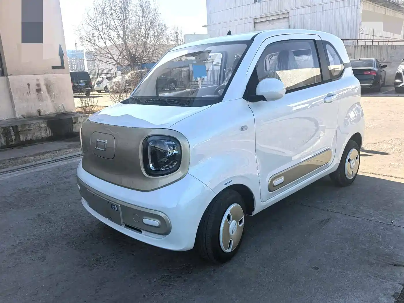 BESTUNE PENTIUM PONY