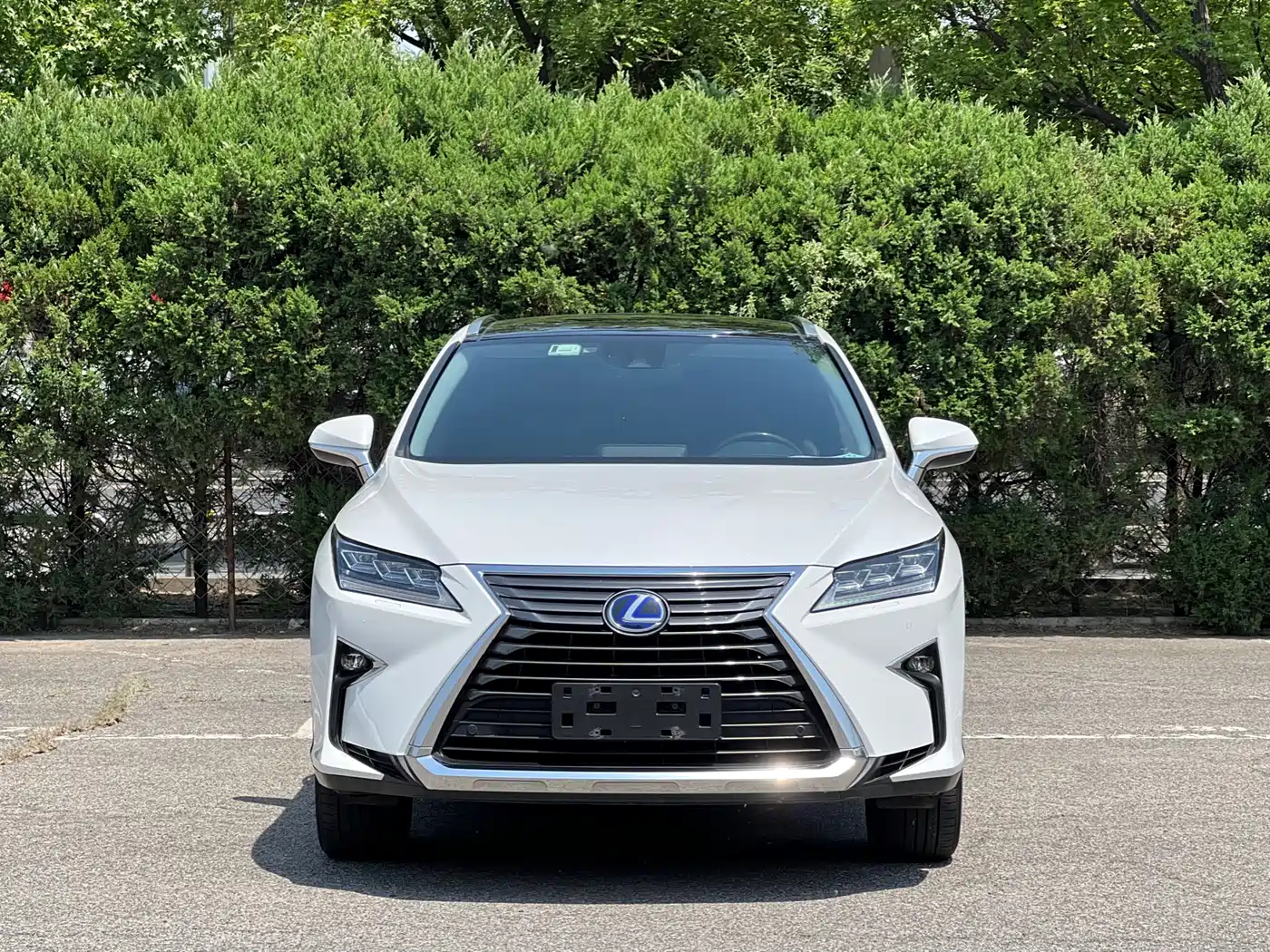 Lexus RX 2016 450h 4WD Luxury Edition фото 2