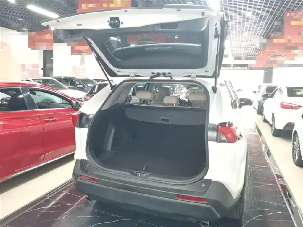 Toyota RAV4 Rongfang 2023 2.0L CVT 2WD Urban Edition фото 19