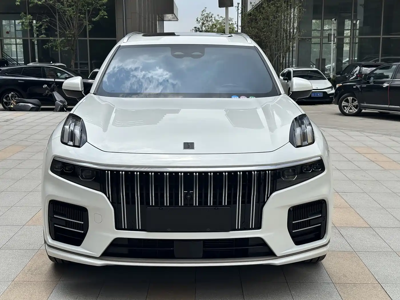 Lynk & Co 09 EM-P 2021 2.0T PHEV Ultra 6-seater фото 4