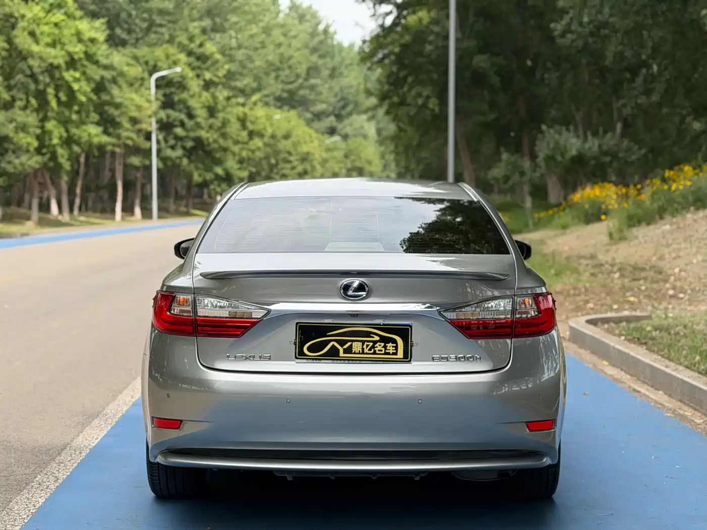Lexus ES 2015 300h Comfort Edition фото 7