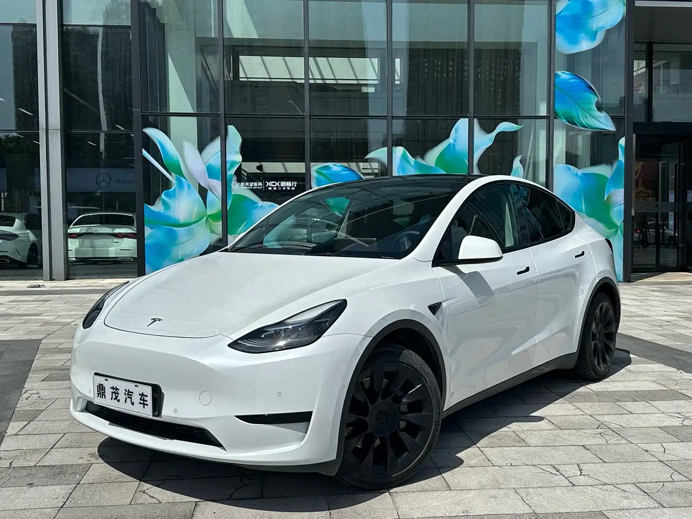 Tesla Model Y 2022