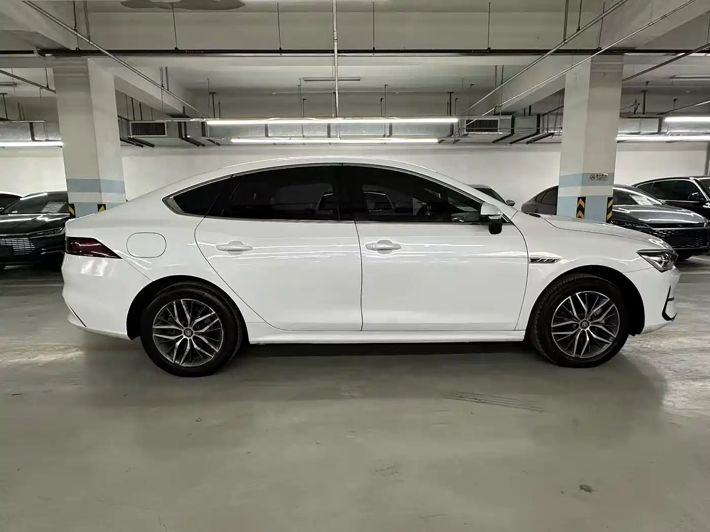 BYD Qin PLUS 2021 EV 500KM Luxury Model фото 4