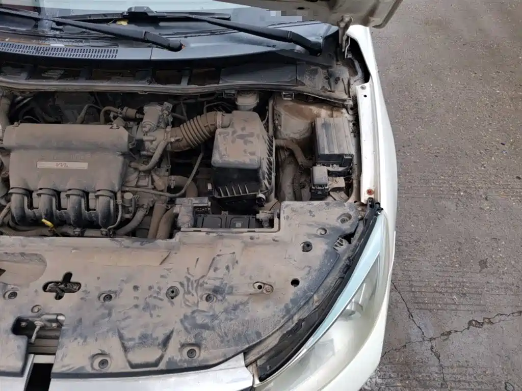 BYD Surui 2015 Facelift 1.5L Auto Luxury фото 24