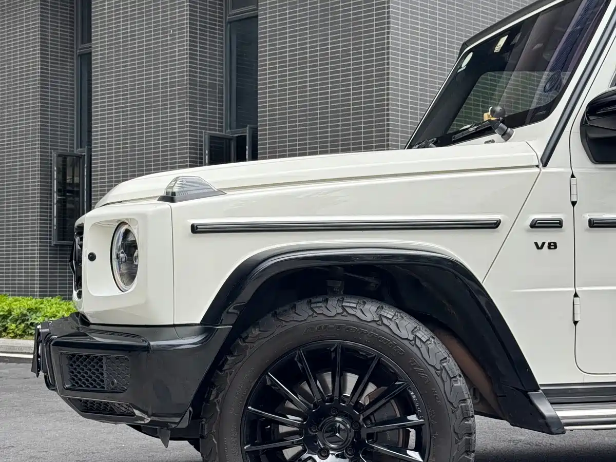 Mercedes-Benz G-Class 2019 G 500 фото 8