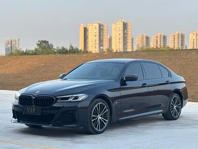 BMW 5 SERIES
