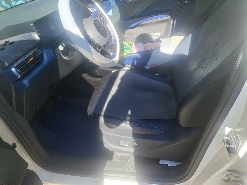 BYD Seagull 2026 2025 Smart Drive Edition 305km Freedom Version