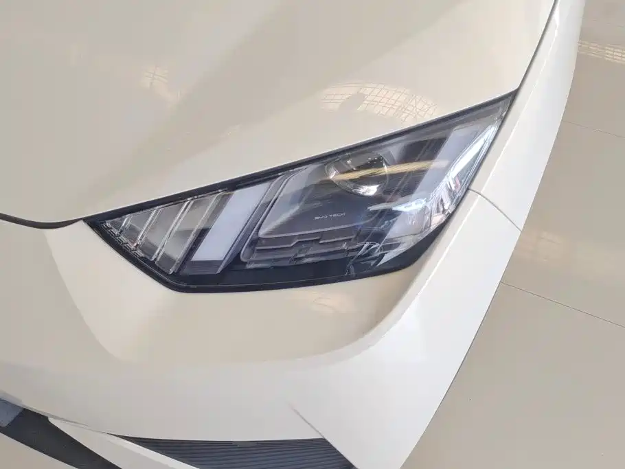 BYD Seagull 2026 2025 Smart Drive Edition 305km Vitality Version