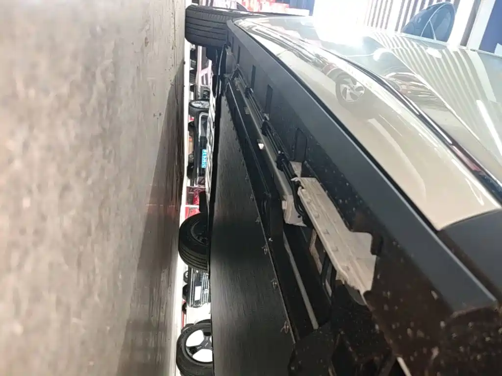 BYD Dolphin 2026 2025 420km Freedom Edition