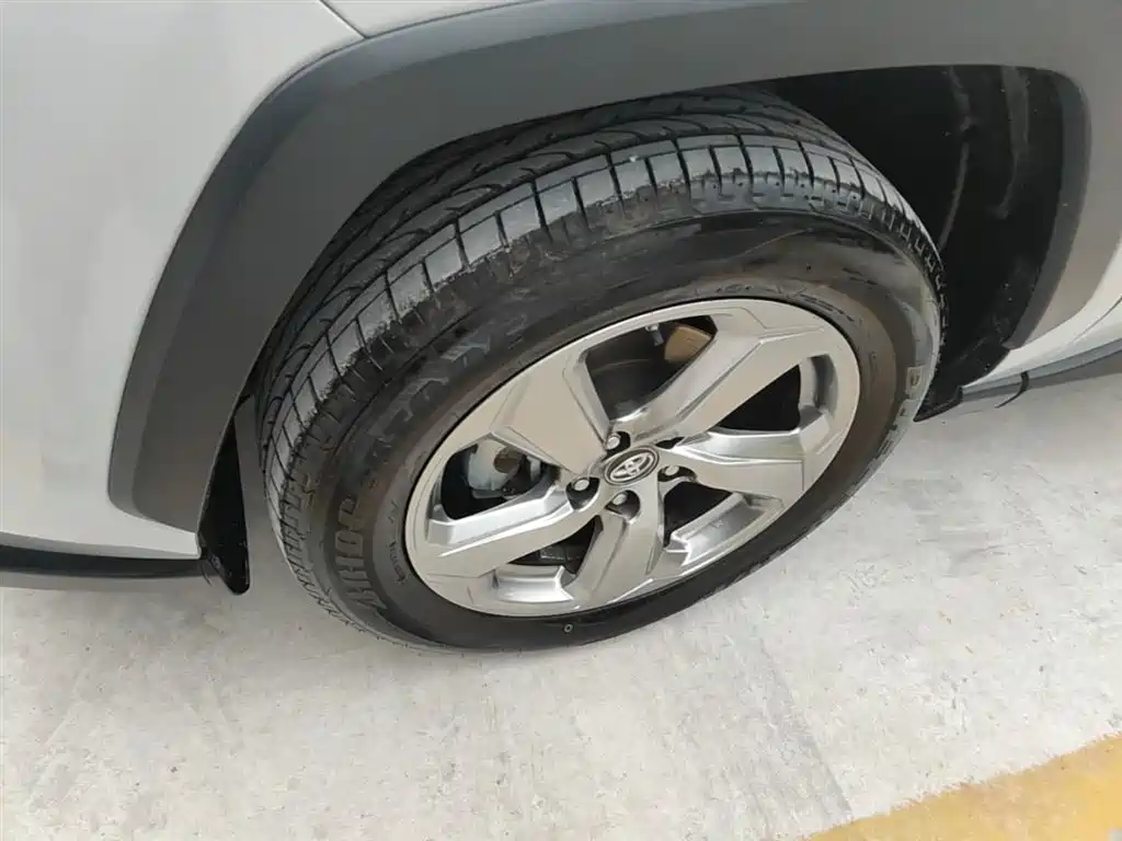 Toyota RAV4 Rongfang 2021 2.0L CVT 2WD Trend фото 23