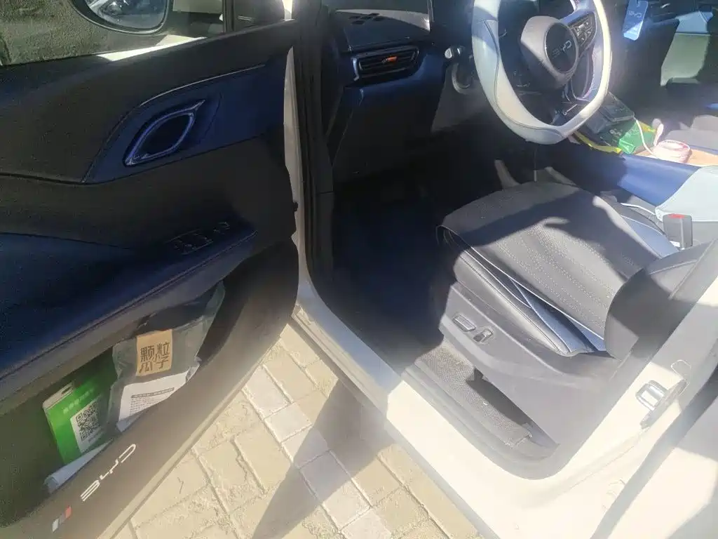 BYD Seagull 2026 2025 Smart Drive Edition 305km Freedom Version