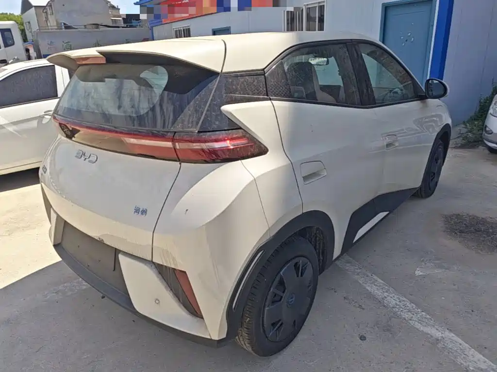 BYD Seagull 2026 2025 Smart Drive Edition 305km Vitality Version