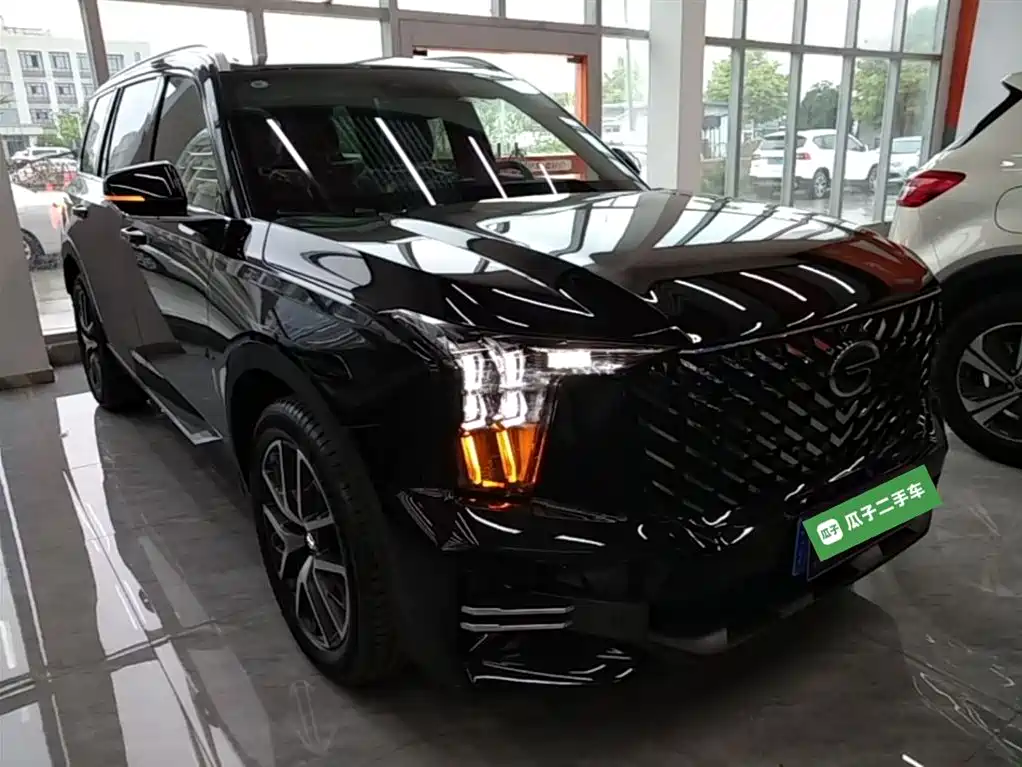 GAC Trumpchi Trumpchi GS8 2025 Pilot Series 2.0TGDI 2WD Luxury Edition 5-seater фото 4