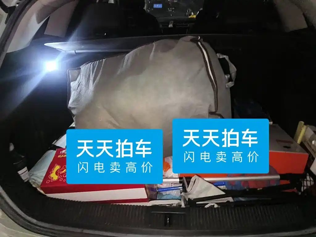 Roewe Ei5 2019 2019 Model Luxury Edition
