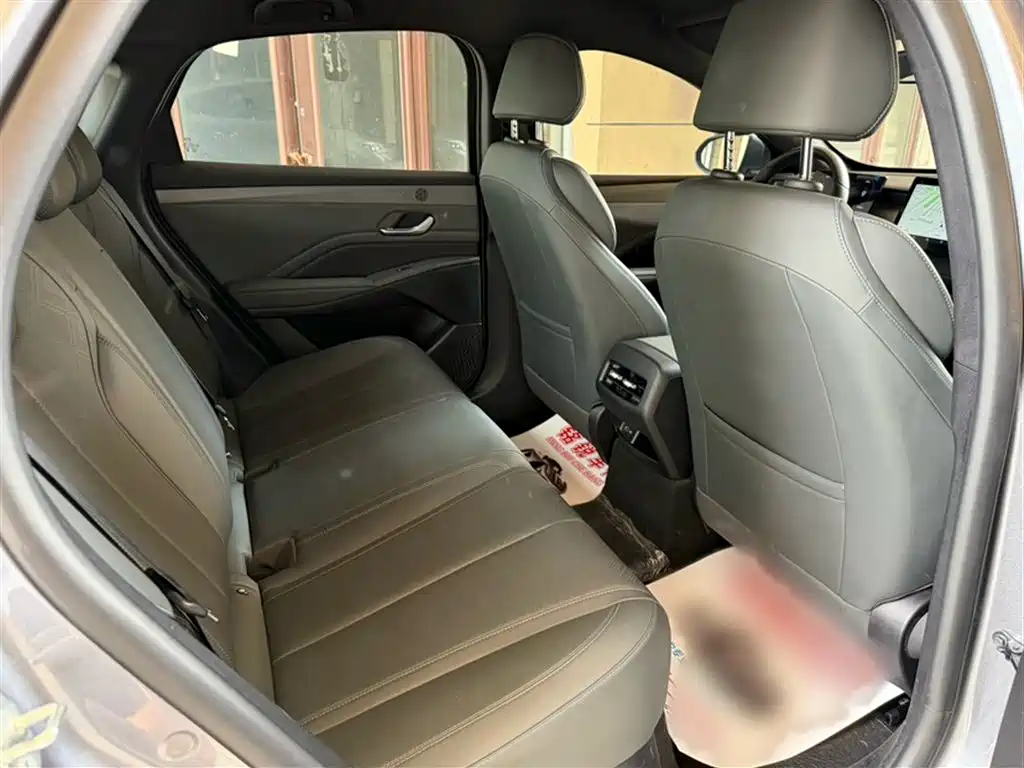BYD Qin PLUS 2025 DM-i Smart Drive 55KM Leader фото 15