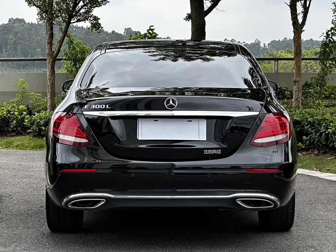 Mercedes-Benz E-Class 2019 E 300 L Fashion фото 8