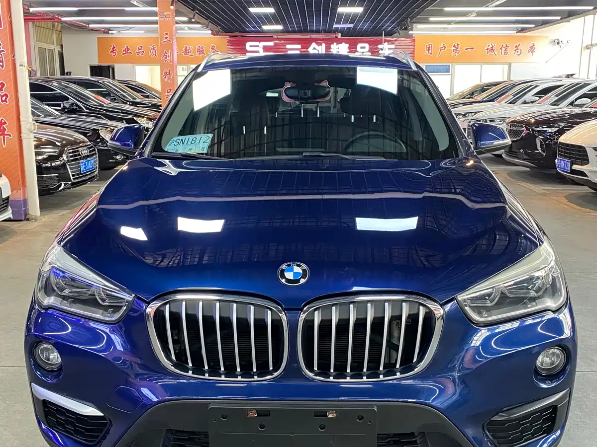 BMW X1 2019 xDrive20Li Premium Model фото 2